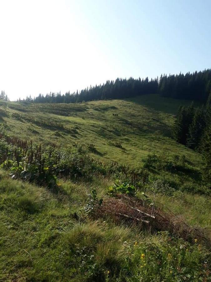Говерлянка Villa Ворохта Екстериор снимка