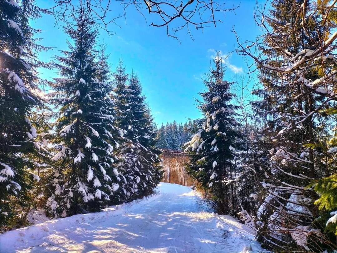 Говерлянка Villa Ворохта Екстериор снимка